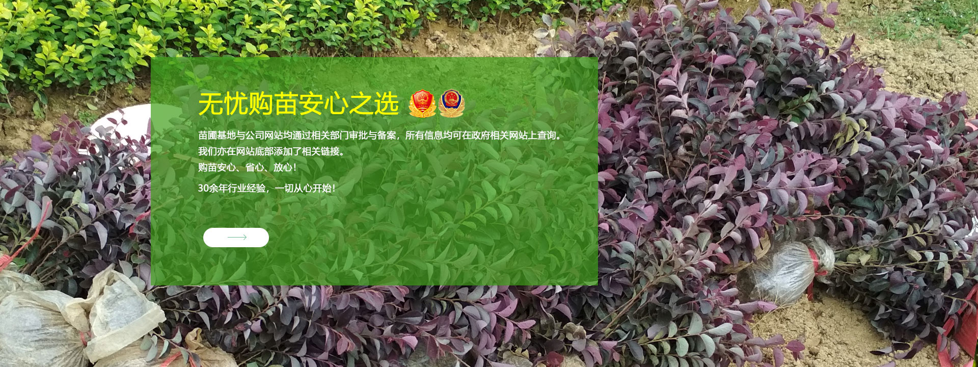 安心之(zhī)選