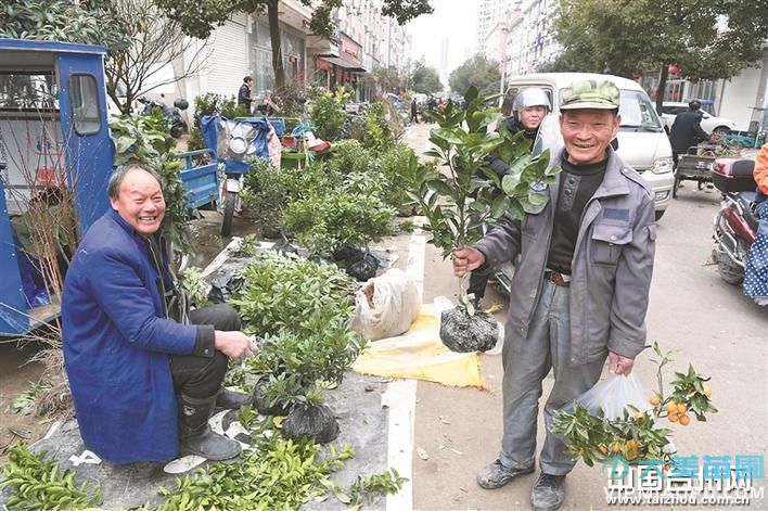 農村集市苗木買賣