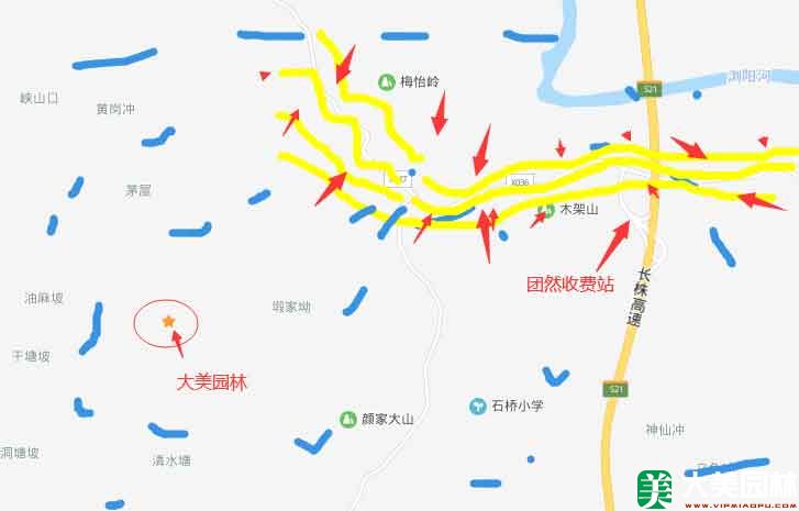 造型羅漢松地(dì / de)圖示意
