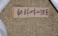 四季青草籽哪裏有買