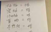 湖南果樹苗育苗基地(dì / de)在(zài)哪