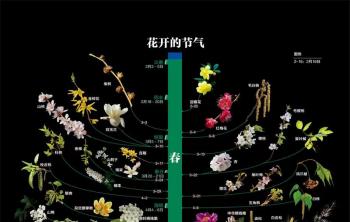 最全春夏秋冬各種花開的(de)時(shí)間表