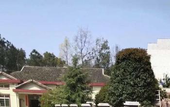 庭院别墅綠化案例