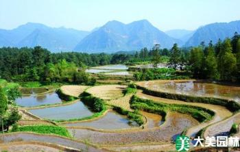 湖南津市大(dà)力開展秋冬造林發展苗木産業助農增收
