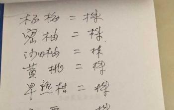 湖南果樹苗育苗基地(dì / de)在(zài)哪