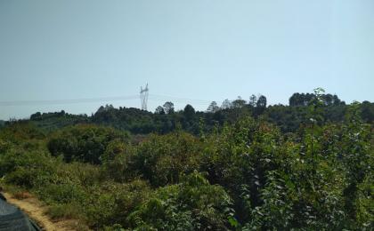 城市園林綠化工程中投标報價的(de)精髓和(hé / huò)技巧（三）