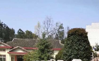 庭院别墅綠化案例