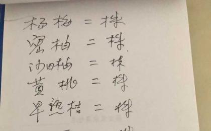 湖南果樹苗育苗基地(dì / de)在(zài)哪