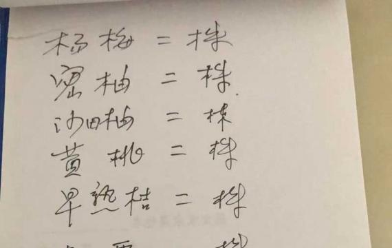 湖南果樹苗育苗基地(dì / de)在(zài)哪